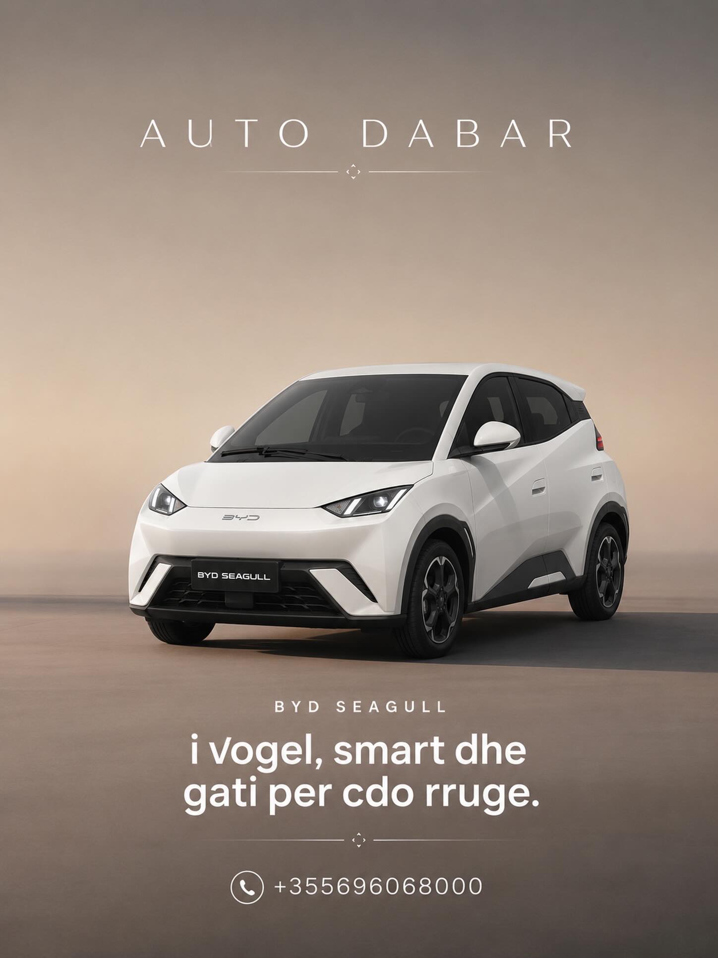 BYD Seagull